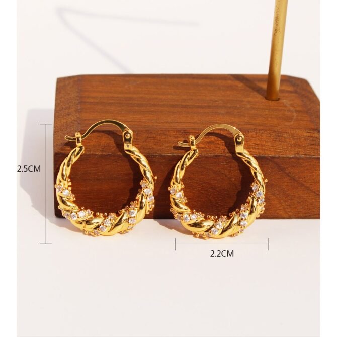 Lymphatic activity hoop earrings（🔥Ending Soon Discount!🔥)